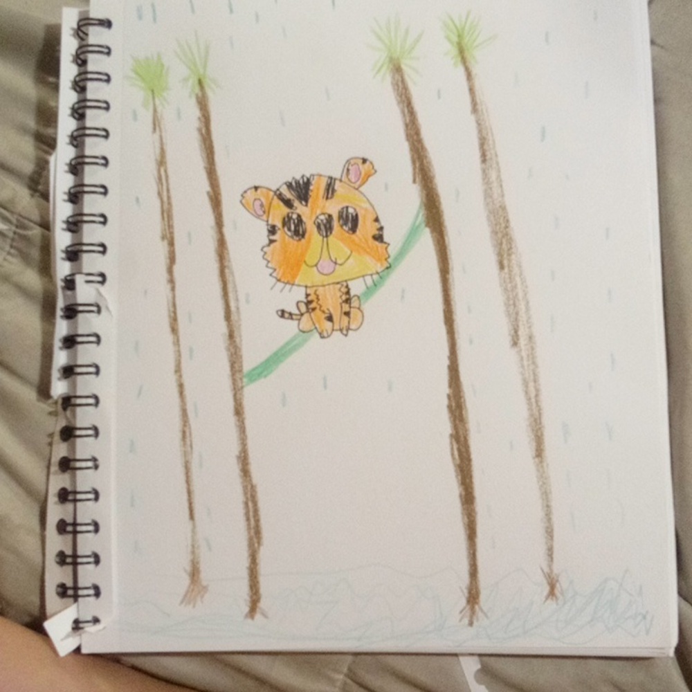 Tiger in rain Forest